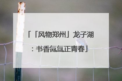 「风物郑州」龙子湖：书香氤氲正青春